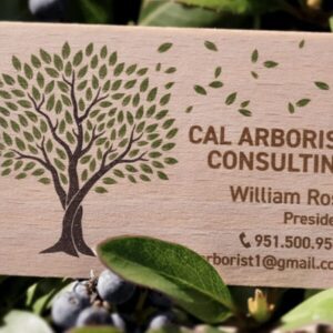 Beech Wood Business Cards - Image 4